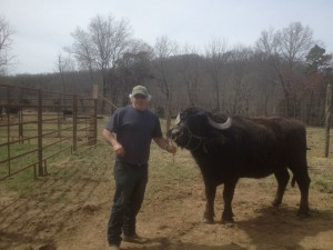 Bison Farmer Gary Kent