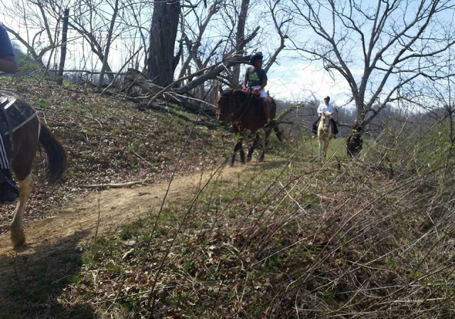 Family grooving on the views and trail rides