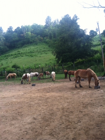 They do get hungry between rides