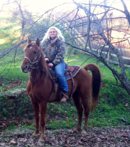 Beautiful horse and rider