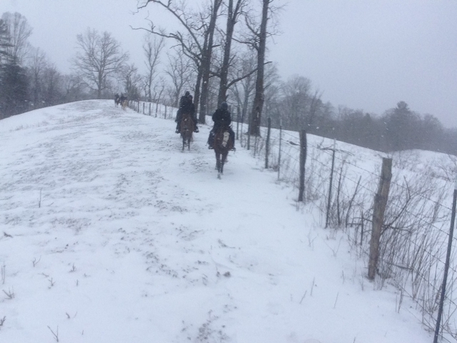 Horseback riding in the snow.