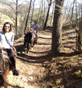 Shade Cover Horseback Trails